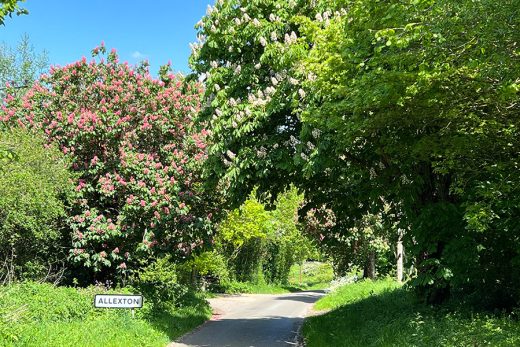 Allexton Village Parish
