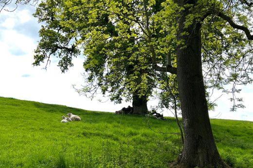 Allexton Village Parish